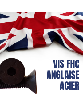 VIS-FHC-PAS-ANGLAIS-BSW-BSF-ACIER