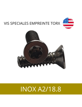 VIS-TF-TORX-INOXA2-18.8