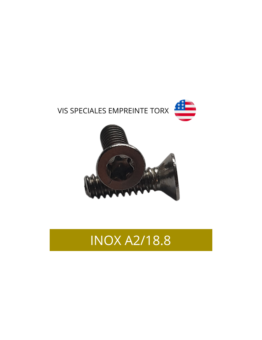 VIS-TF-TORX-INOXA2-18.8