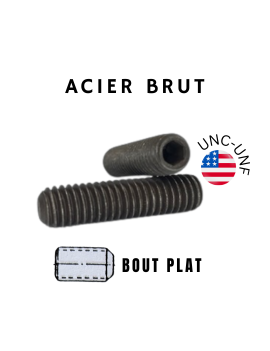 VIS-STHC-BOUT-PLAT-UNC-UNF