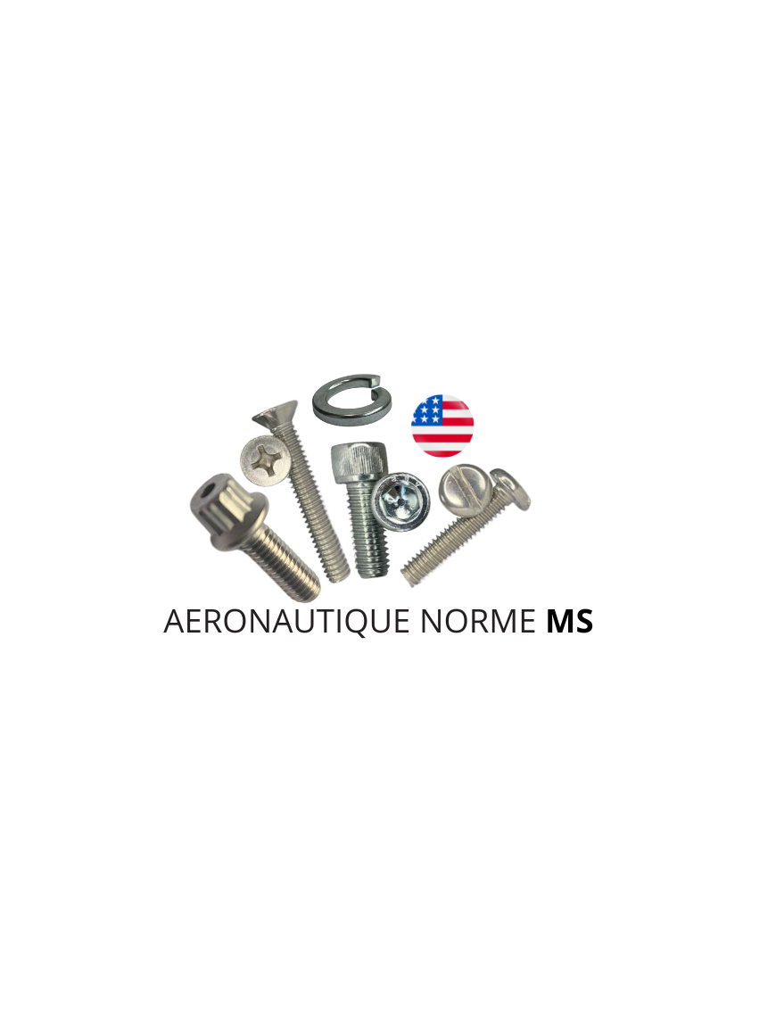 VISSERIE-AMERICAINE-AERONAUTIQUE-MS