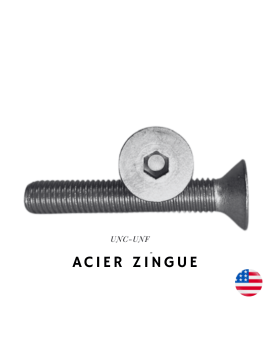 copy of VIS AMERICAINE TH INOX A2