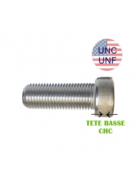 VIS-AMERICAINE-TETE-BASSE- CHC-TETE BASSE-UNC-UNF