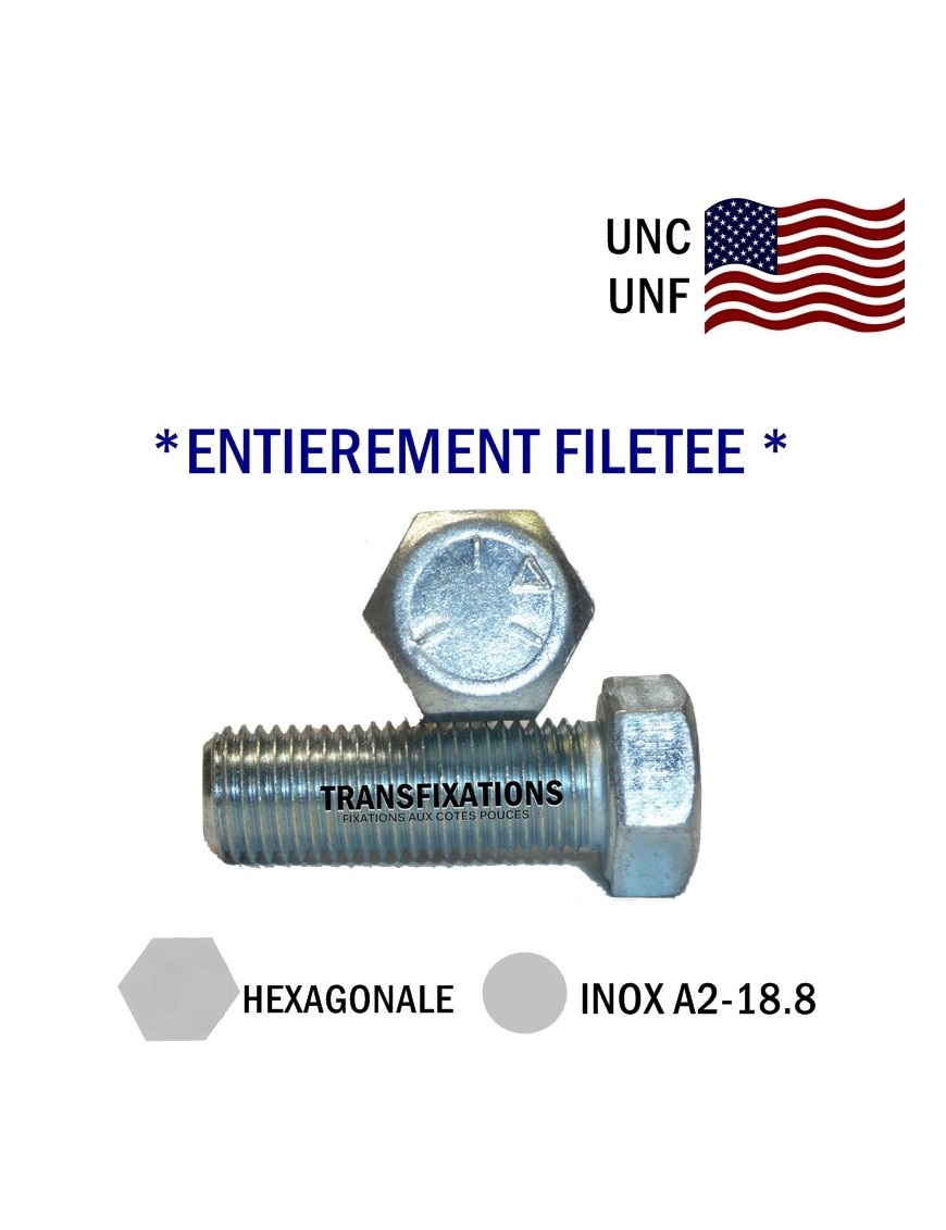 VIS AMERICAINE TH INOX A2