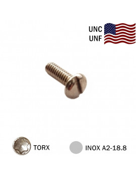 VIS AMERICAINE TCL TORX INOX A2