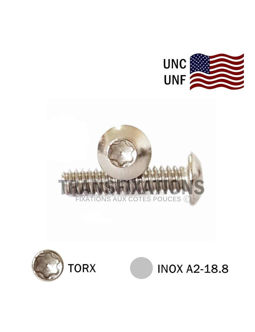 VIS AMERICAINE TORX BHC INOX A2